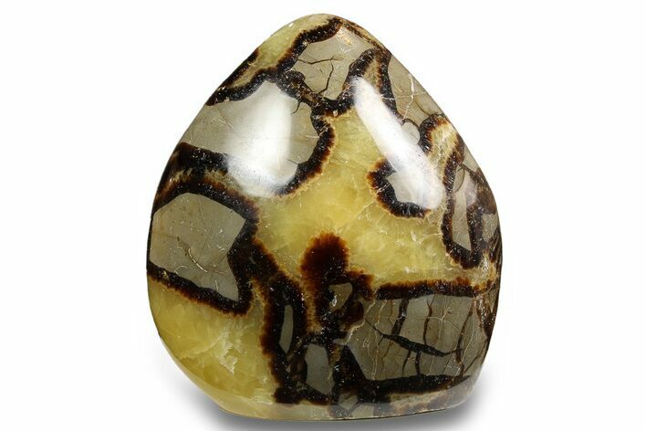 Free-Standing, Polished Septarian - Madagascar #258644